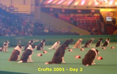 http://www.sportdog.ru/articles/obedience/images/craftvyd_small.jpg